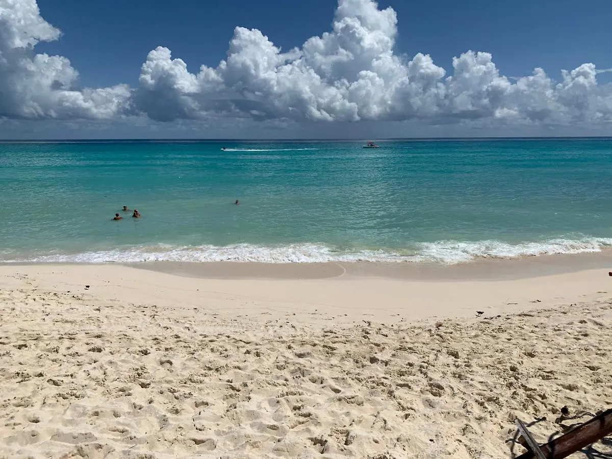 Preciosos Estudio Vista Al Mar O Jardin Cancun Mexico